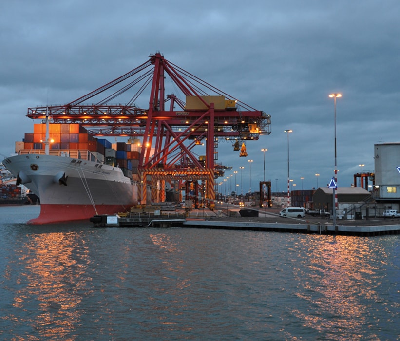 Luces de guía de 4 pies (SL-96) - Image 4